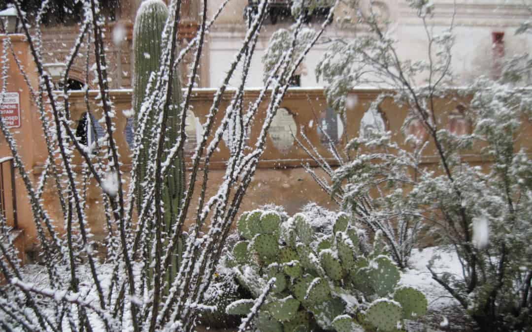 Snow Delights Franciscans at San Xavier Mission